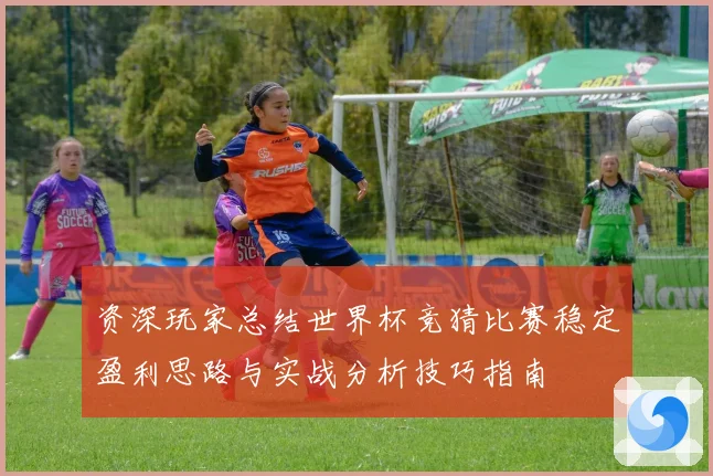 资深玩家总结世界杯竞猜比赛稳定盈利思路与实战分析技巧指南 ⚽