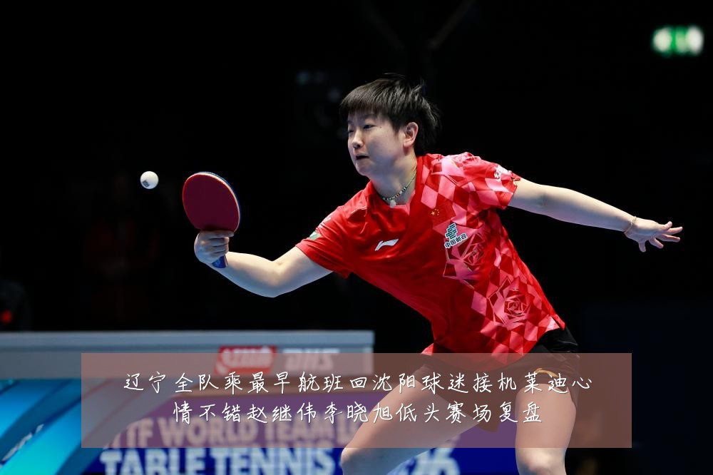 辽宁全队乘最早航班回沈阳球迷接机莱迪心情不错赵继伟李晓旭低头赛场复盘